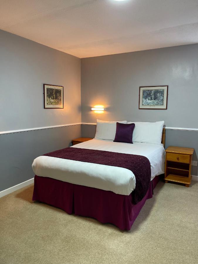 Palm Court B&B Ilfracombe Exteriér fotografie
