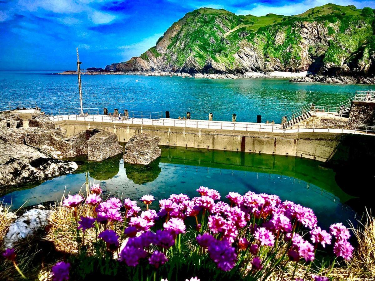 Palm Court B&B Ilfracombe Exteriér fotografie